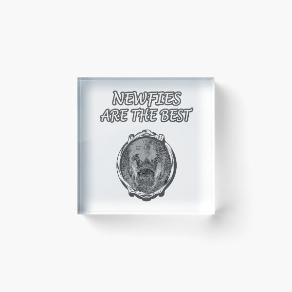 Item preview, Newfoundland dog framed in gray designed and sold by Moonyflower.