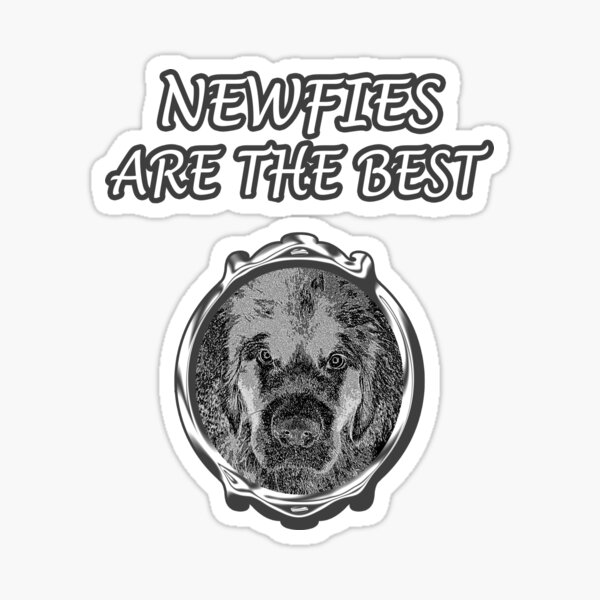 Item preview, Newfoundland dog framed in gray designed and sold by Moonyflower.