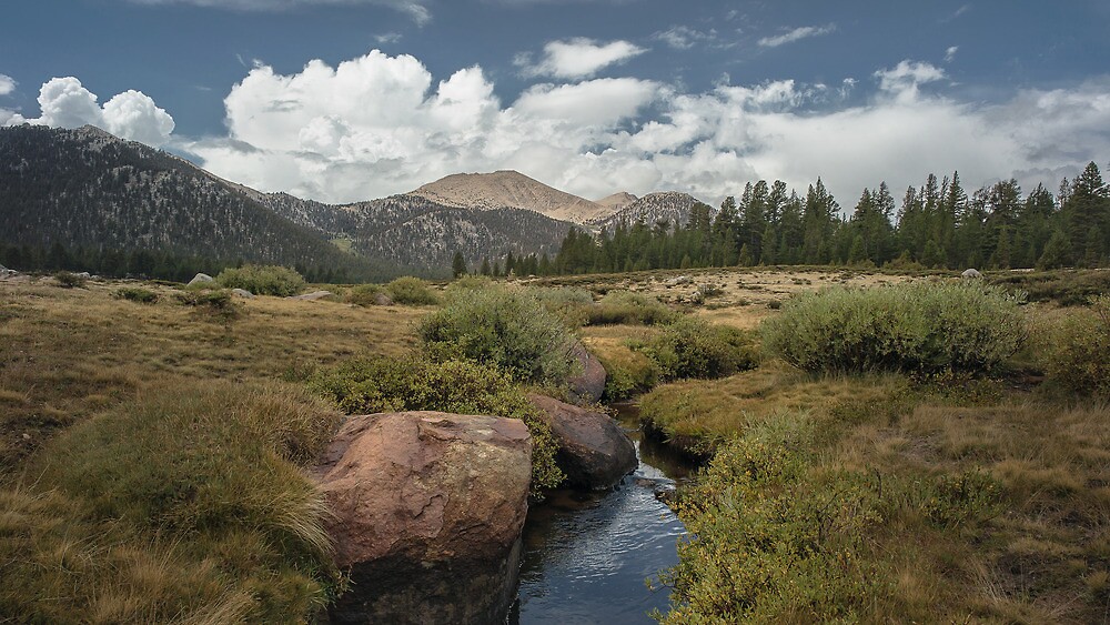 "Golden Trout Wilderness" by Jason Fitzgibbon | Redbubble