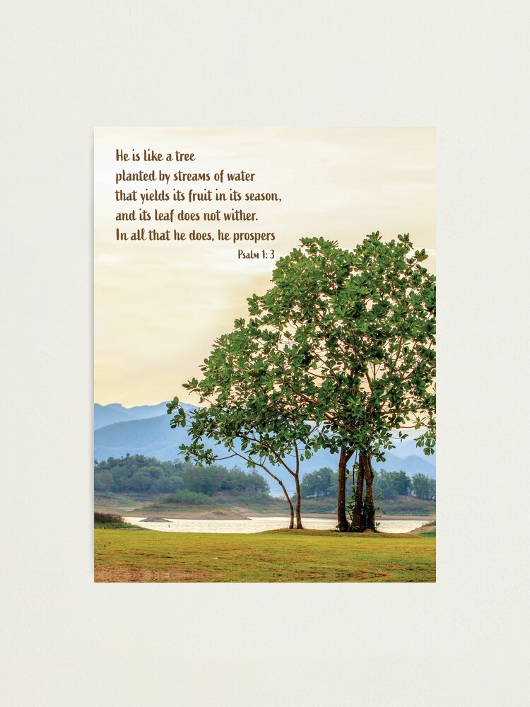 "Psalm 1 3. He is like a tree planted by streams of water that yields