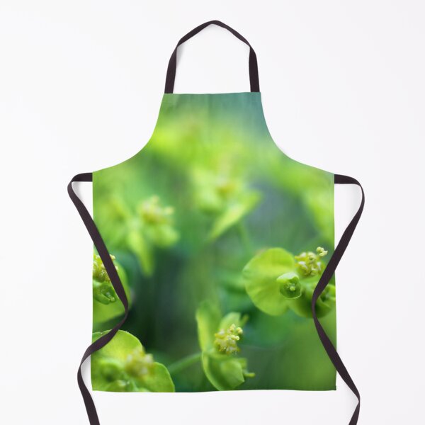 Item preview, Euphorbia designed and sold by cuprum.