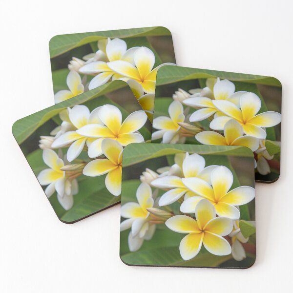 Item preview, Frangipani blossoms designed and sold by Poppingimages.