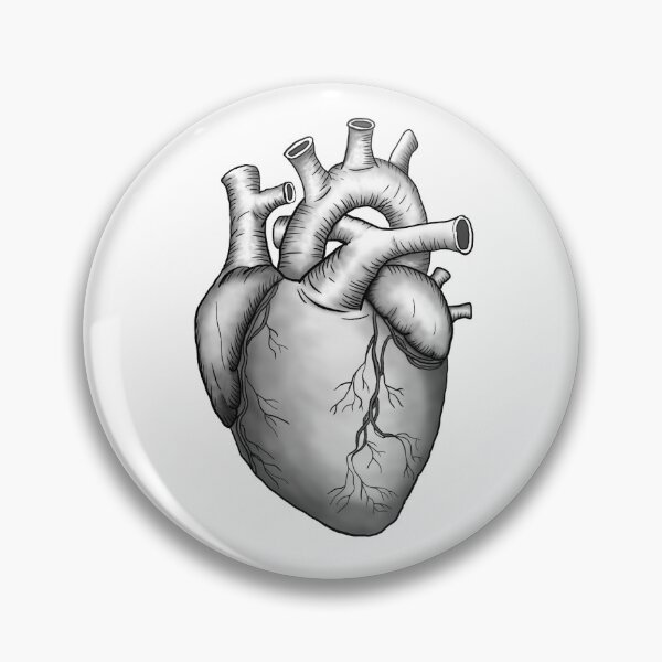 Item preview, real human heart designed and sold by Ilustrando Enfermeria.