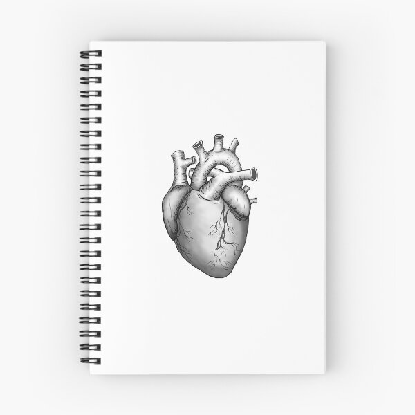 Item preview, real human heart designed and sold by Ilustrando Enfermeria.