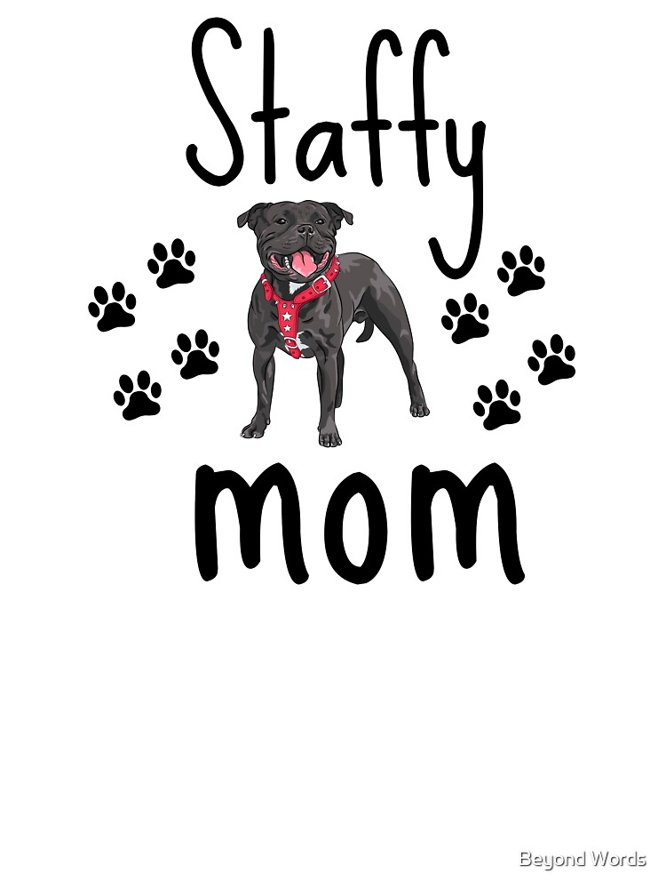 dog flatulence remedy