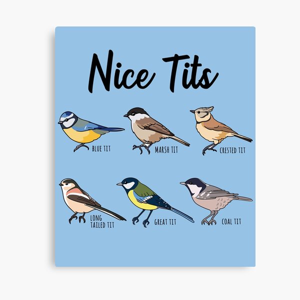 Bird watching Funny nice tits Gift Art Print by Qwerty Designs