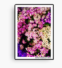 Flowers, Fitzroy Gardens Canvas Print