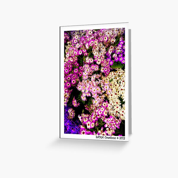 Flowers, Fitzroy Gardens Greeting Card
