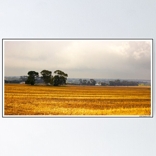 Storm & Colours... Poster