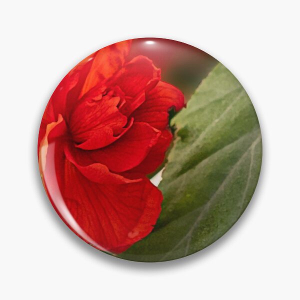 Item preview, Begonia rossa e verde di Spello designed and sold by PepperMendez.