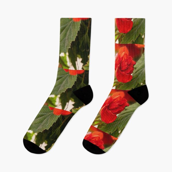 Item preview, Begonia rossa e verde di Spello designed and sold by PepperMendez.
