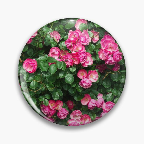 Item preview, pink rose bush designed and sold by Nikoleta Vukovic.