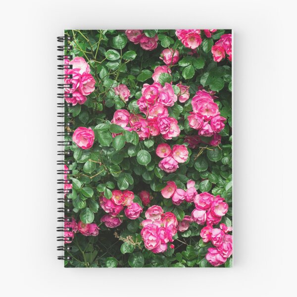 Item preview, pink rose bush designed and sold by Nikoleta Vukovic.