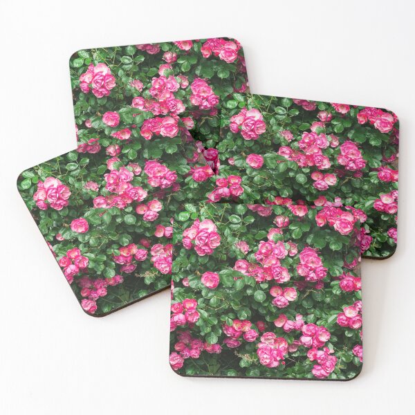 Item preview, pink rose bush designed and sold by Nikoleta Vukovic.