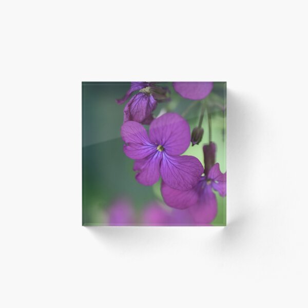 Purple flowers facemask Acrylic Block
