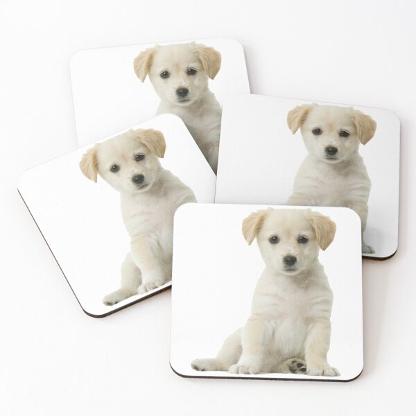 Aperçu de l'œuvre Chiot Labrador mignon créée et vendue par Designs By Creation.