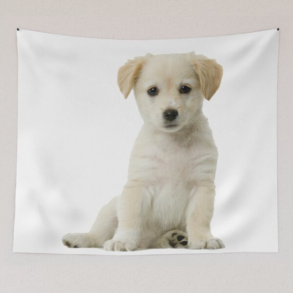 Item preview, Cute Labrador Puppy designed and sold by Designs By Creation.