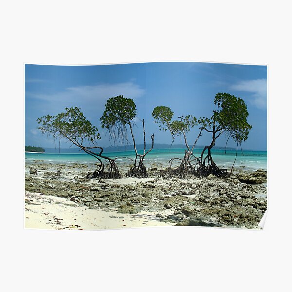 "The mesmerising beauty of Andaman # 3" Poster