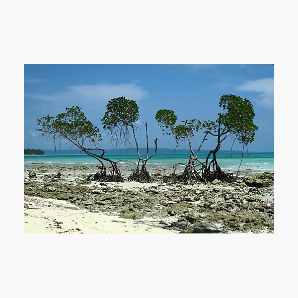 "The mesmerising beauty of Andaman # 3" Photographic Print