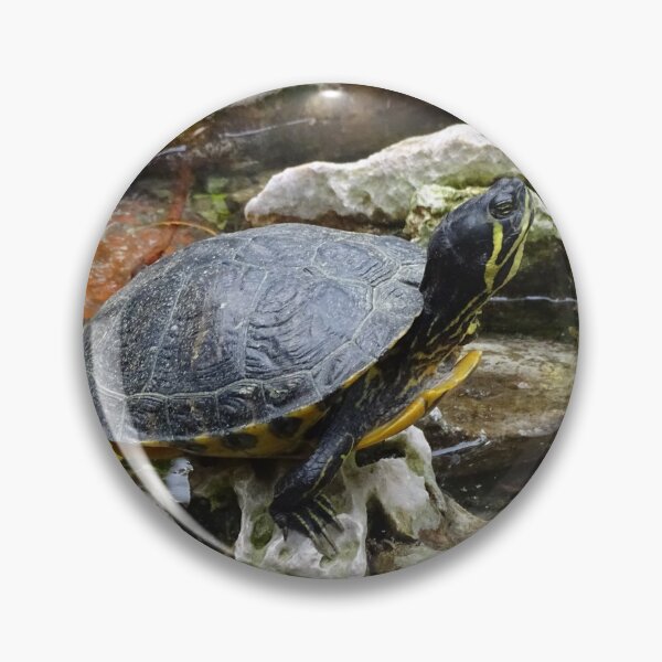 Item preview, Little Turtle Friends designed and sold by Catavan.