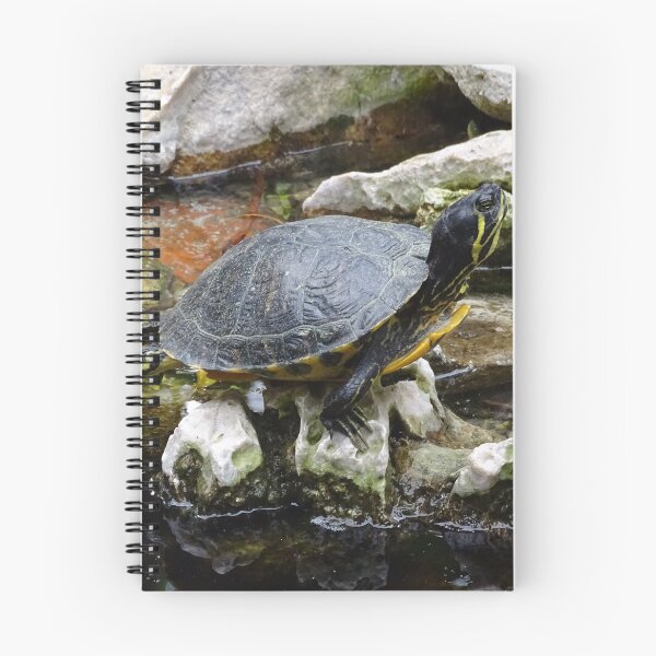 Item preview, Little Turtle Friends designed and sold by Catavan.