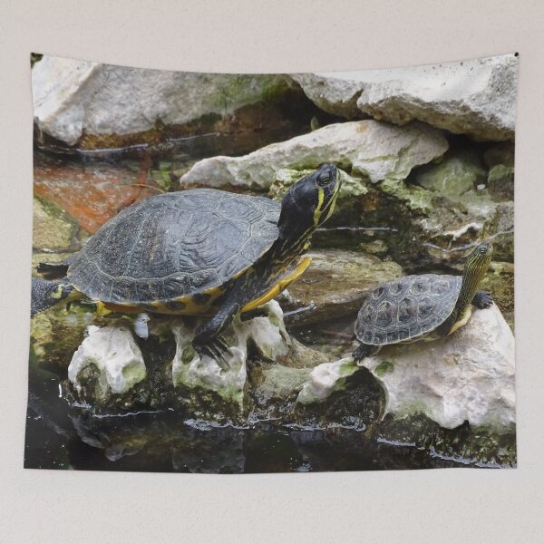 Item preview, Little Turtle Friends designed and sold by Catavan.