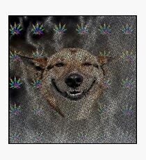 Memes by Design #12 Photographic Print