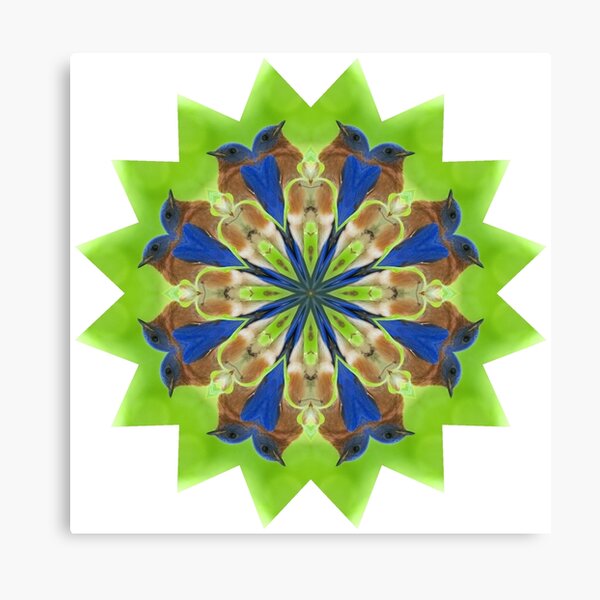 Bluebird3 Canvas Print