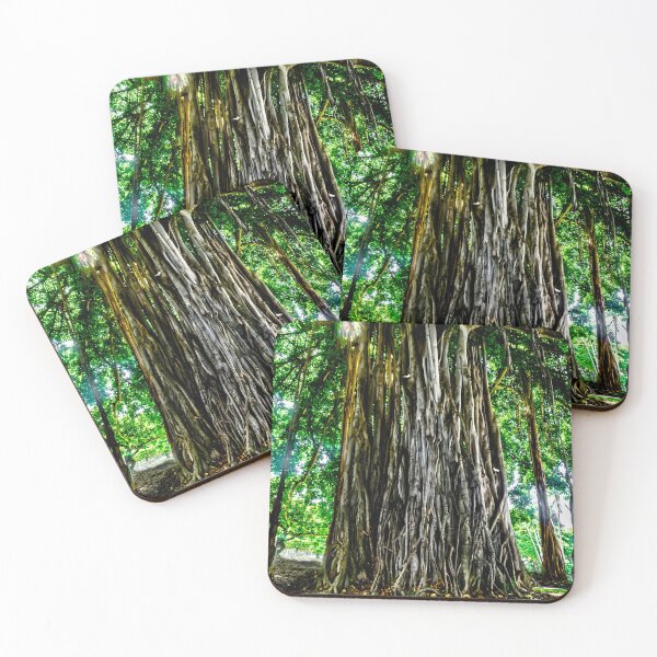 Item preview, Banyan Tree designed and sold by James Aiken.