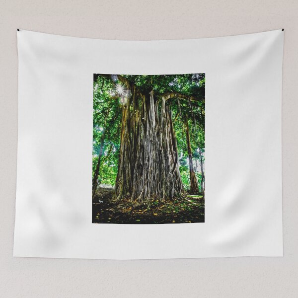 Item preview, Banyan Tree designed and sold by James Aiken.