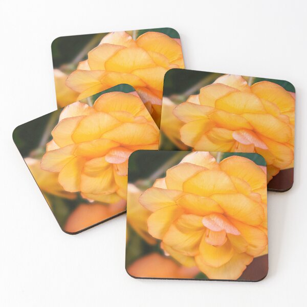 Item preview, Begonia tubero giallo Spello  designed and sold by PepperMendez.