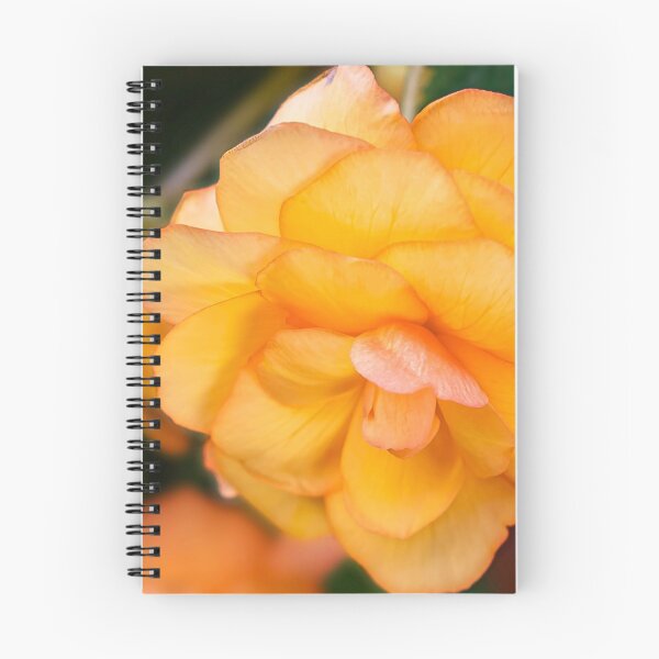 Item preview, Begonia tubero giallo Spello  designed and sold by PepperMendez.