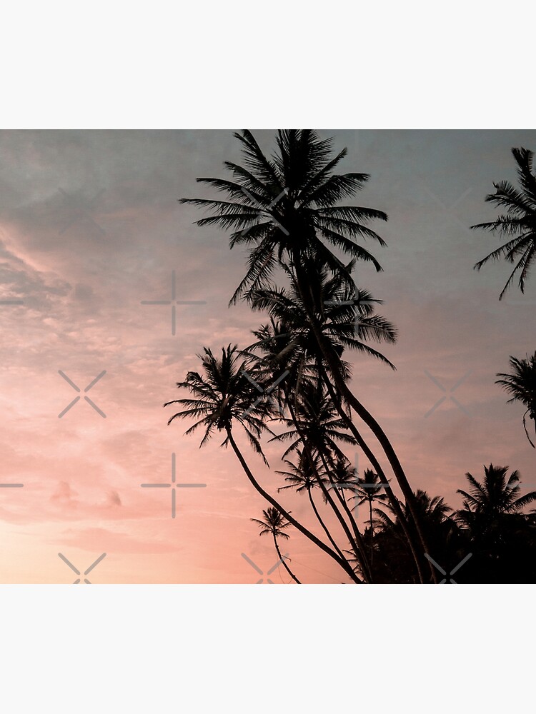 Sunset palmtrees by ColorsHappiness