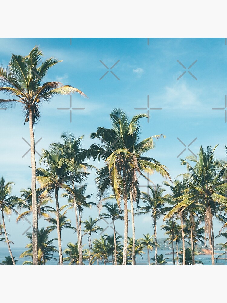 Palmtrees blue sky by ColorsHappiness