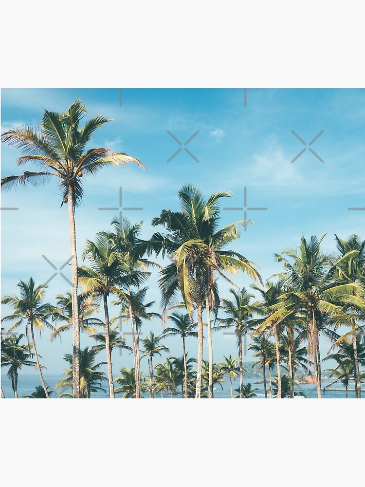 Palmtrees blue sky by ColorsHappiness
