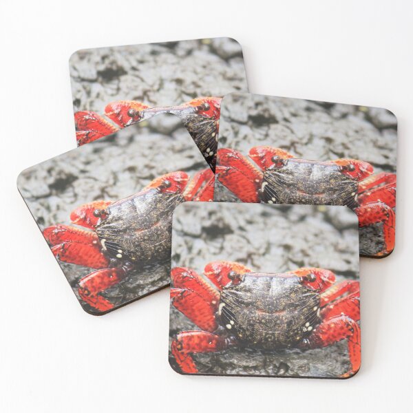 Item preview, Crab designed and sold by Islandjunkie09.