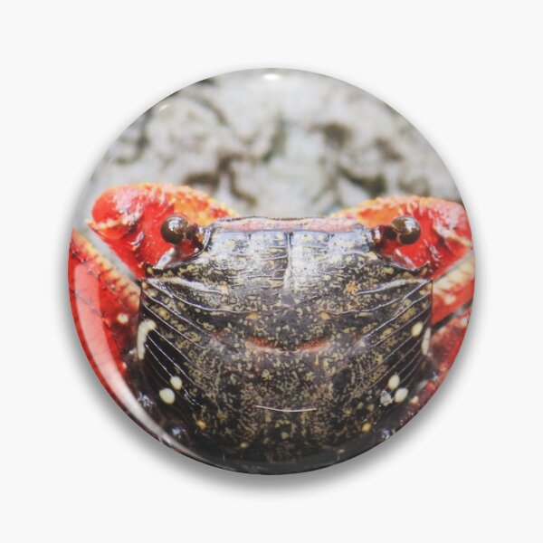 Item preview, Crab designed and sold by Islandjunkie09.