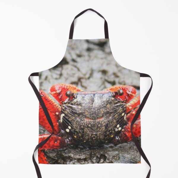 Aperçu de l'œuvre Crab créée et vendue par Islandjunkie09.