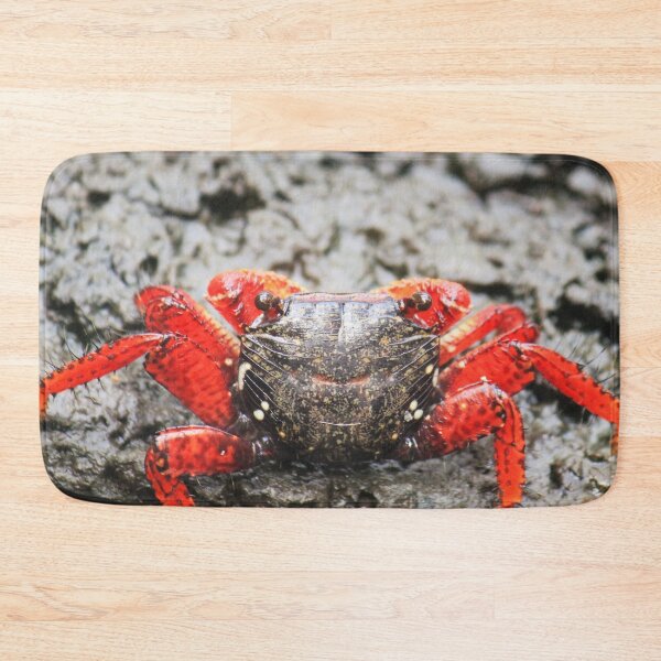 Item preview, Crab designed and sold by Islandjunkie09.