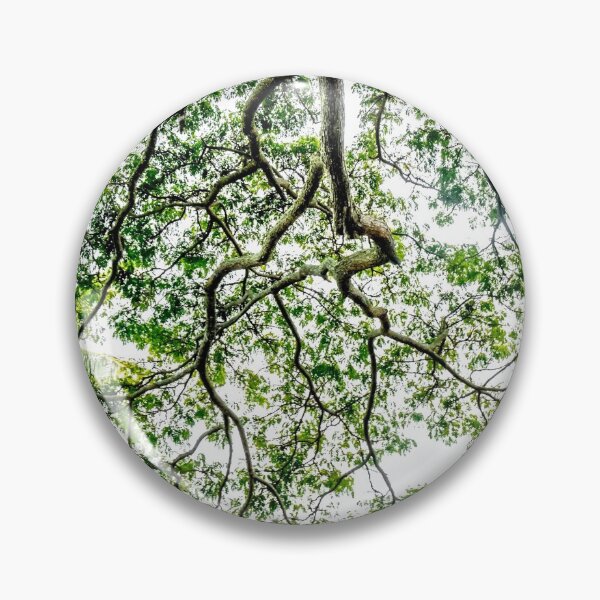 Item preview, Koa Tree Lace designed and sold by James Aiken.