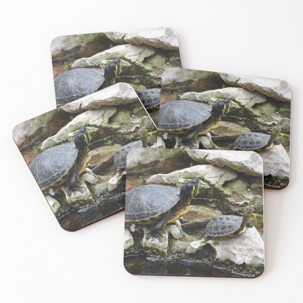Item preview, Little Turtle Friends designed and sold by Catavan.