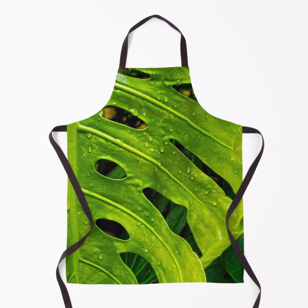 Aperçu de l'œuvre Monstera Deliciosa créée et vendue par James Aiken.