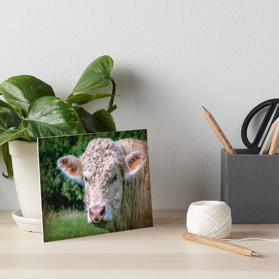 Item preview, Art Board Print designed and sold by ScenicViewPics.