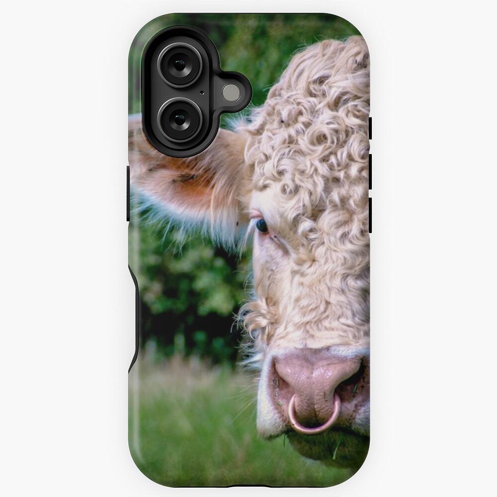 Item preview, iPhone Magsafe Tough Case designed and sold by ScenicViewPics.
