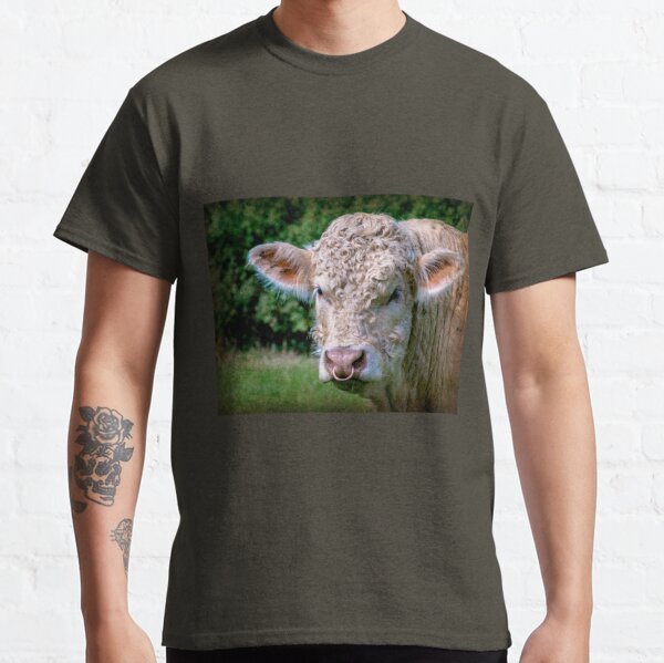 Charolais Bull Classic T-Shirt