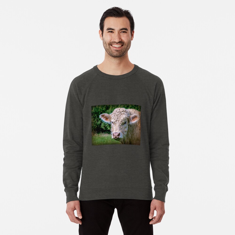Item preview, Lightweight Sweatshirt designed and sold by ScenicViewPics.