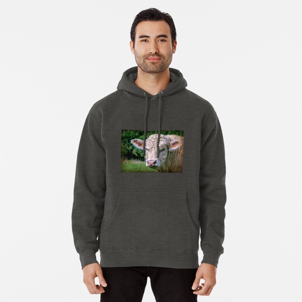 Item preview, Pullover Hoodie designed and sold by ScenicViewPics.