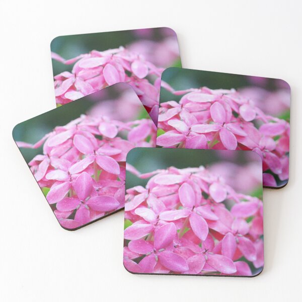 Item preview, Ixora designed and sold by Islandjunkie09.