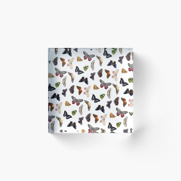 Aperçu de l'œuvre motif papillon créée et vendue par ESSjLAY.