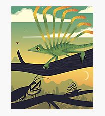 Longisquama Sunset Photographic Print